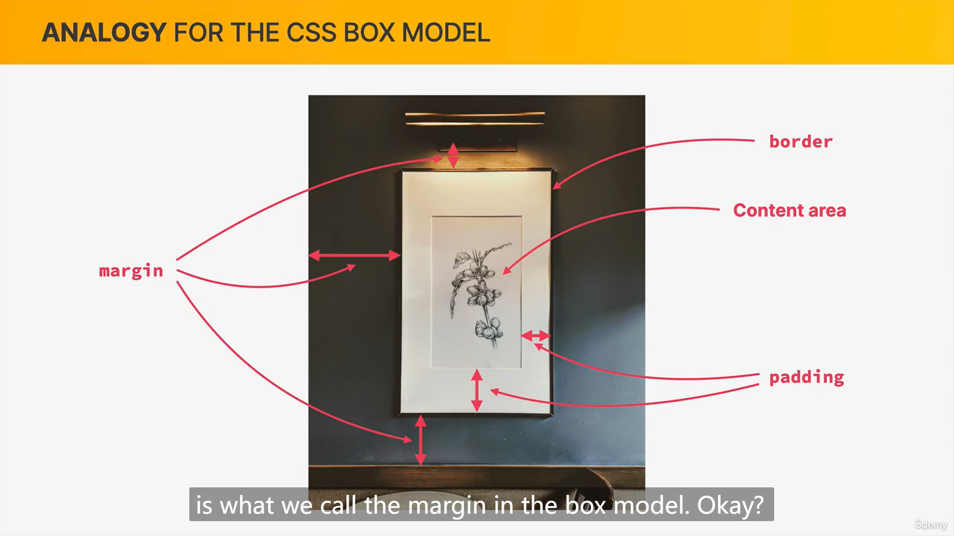 box-model-understanding